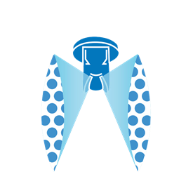 AccuPulse Twin Flat Spray Pattern