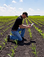 Stories From The Field