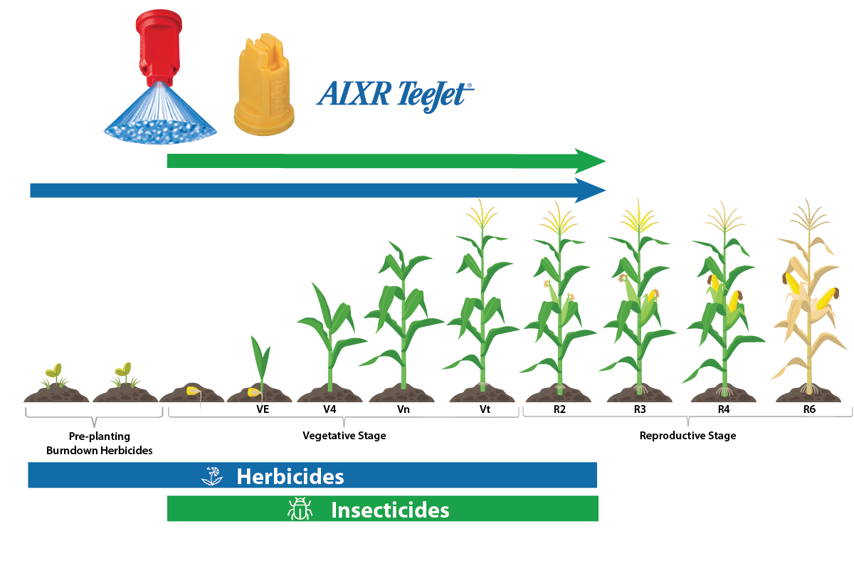 AIXR for corn AIXR for corn
