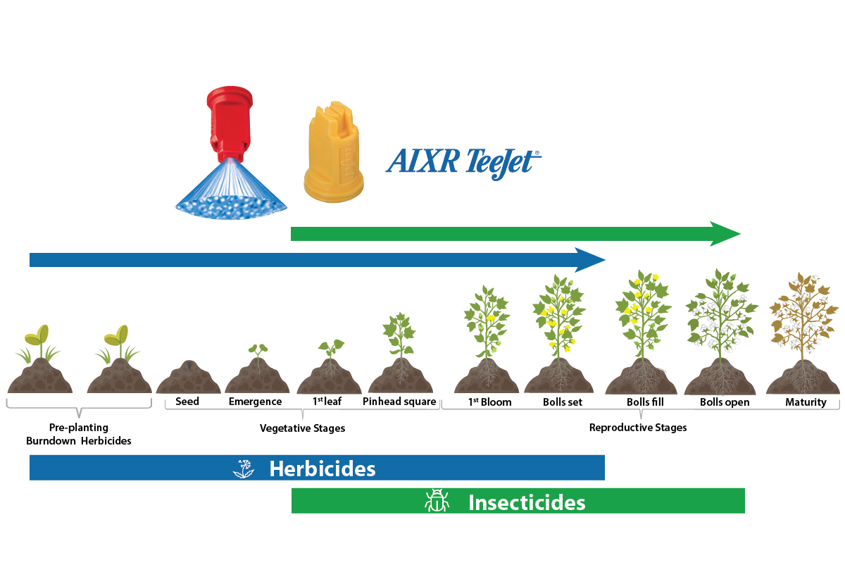 AIXR for cotton AIXR for cotton