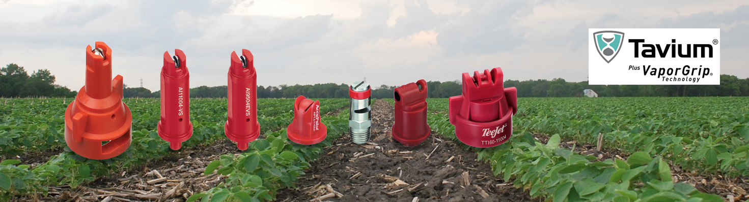 Tavium (main page image) Tips for Tavium®