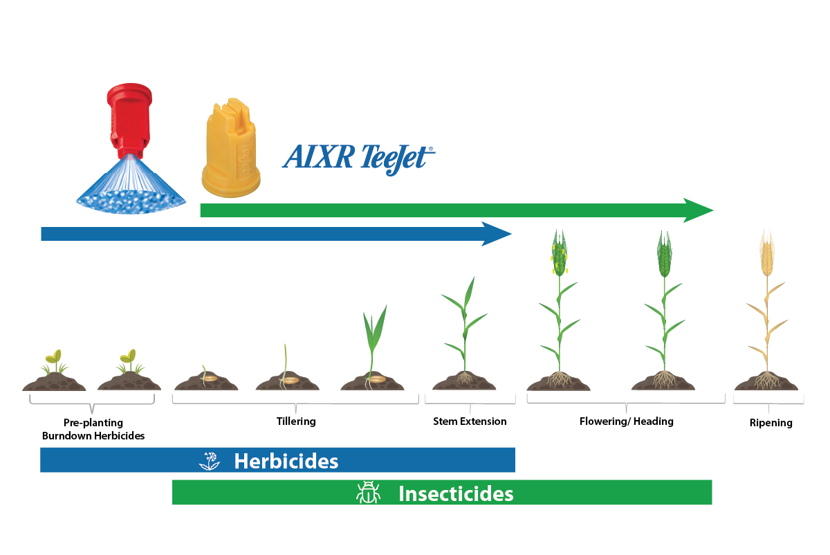 AIXR for wheat AIXR for wheat